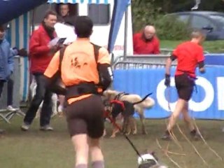 arrivée cani trail Plourhan 2011