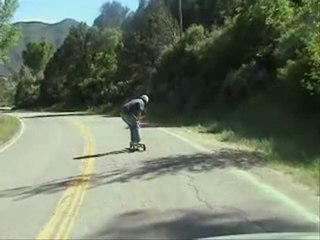 Flexboardz downhill mountainboard skateboard