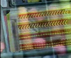 la carpe en riviére 2/6