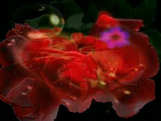 Gdy ktoś kogoś pokocha_mpeg1video_x264