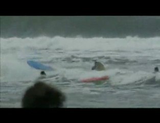 8th Annual Irons Bros Pine Tress Classic