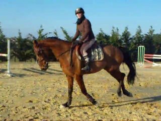 Solteo, premiers sauts