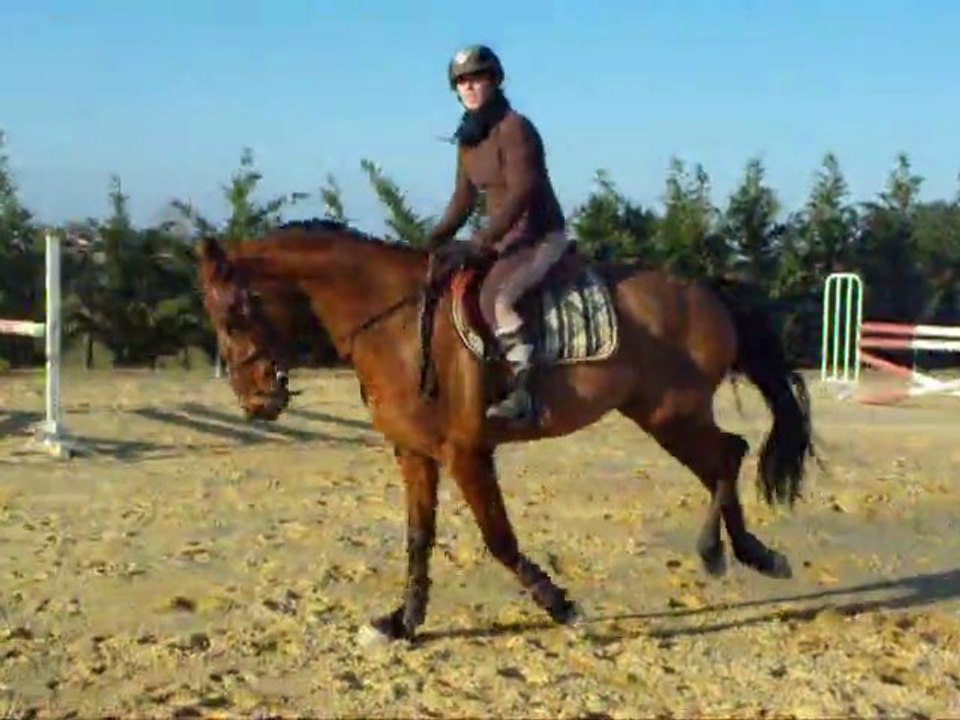 Solteo, premiers sauts