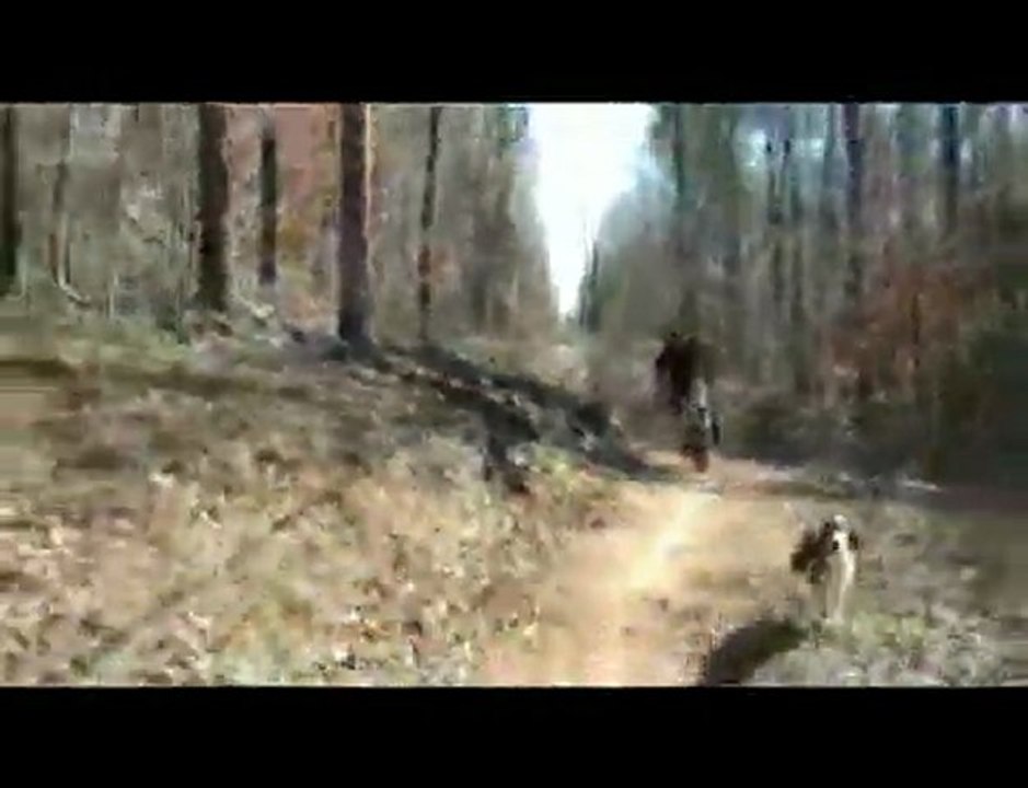 Swayback Bridge Mountain Bike Trail