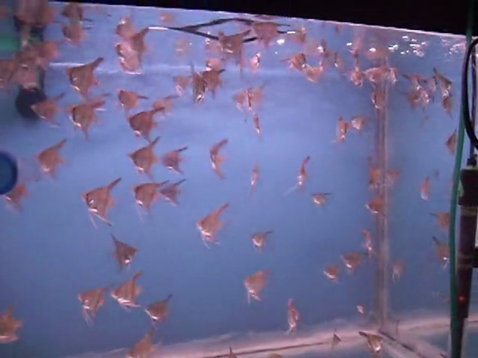 DSCF0516