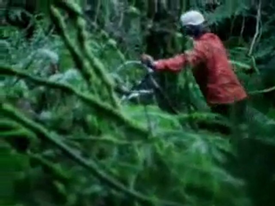 Roam Remixer 6: More DH and MTB Freeride