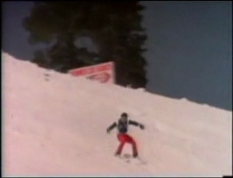 quadruple backflip on skis (triple twisting!)
