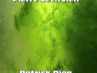 algues vertes (part. 4/4)