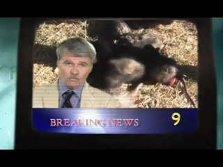 Rat Scratch Fever - New Trailer