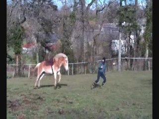 Shaki le 16 février, extraits