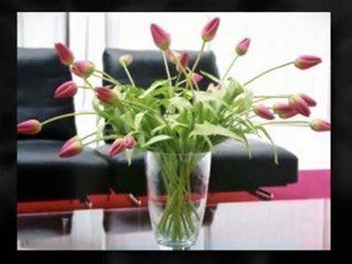 Calgary Denture Clinic