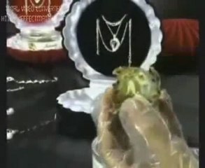 istiridye içinde gerçek inci kolye