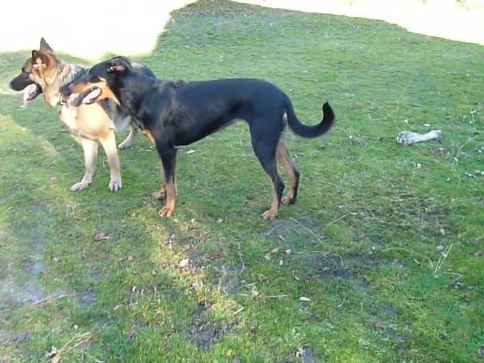 jeu entre Eris et Aïna 4