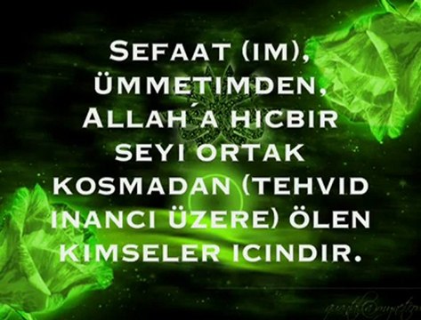 MEVLAYA KUL OLAMADIM