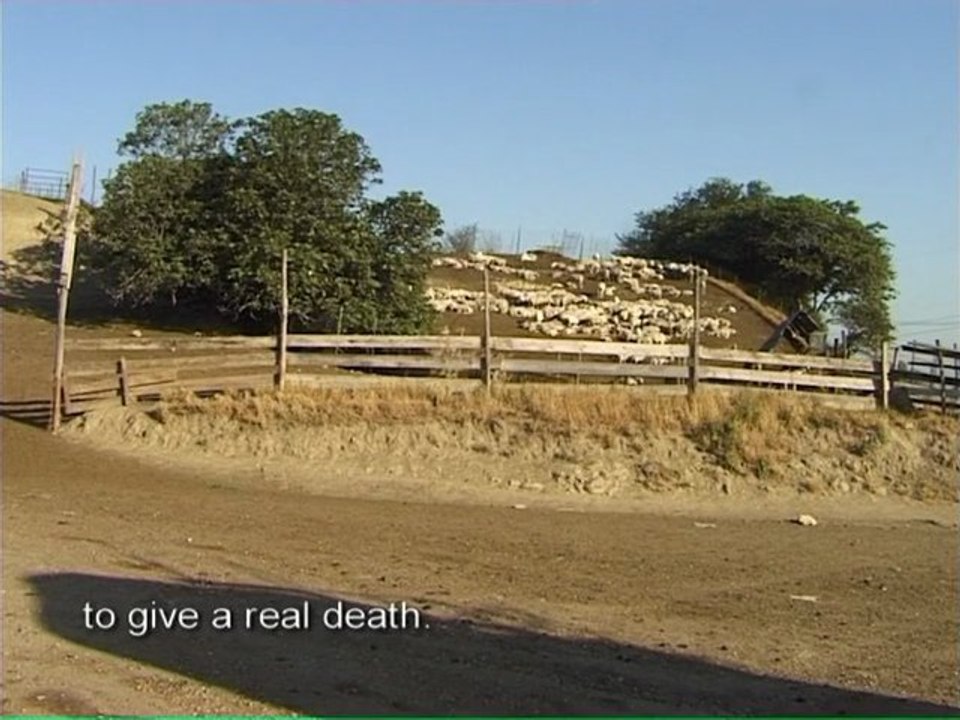 THE SEVENTH DAY (IL SETTIMO GIORNO) - TRAILER