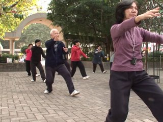 Fighting the flu with Tai chi, Tamiflu and snake soup