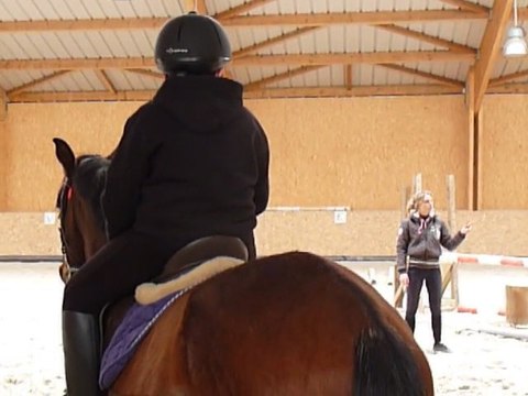 P1280477 ECURIE D'ANKARIA - HABAS - LANDES - COURS