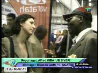 Rencontre des investisseurs miniers d'Afrique