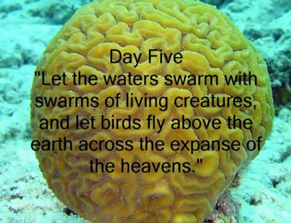 Creation Story