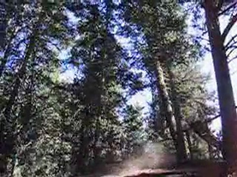 Wade Simmons Tour from 2005