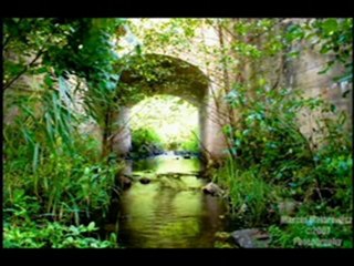 Upływa Szybko Życie_mpeg1video_x264