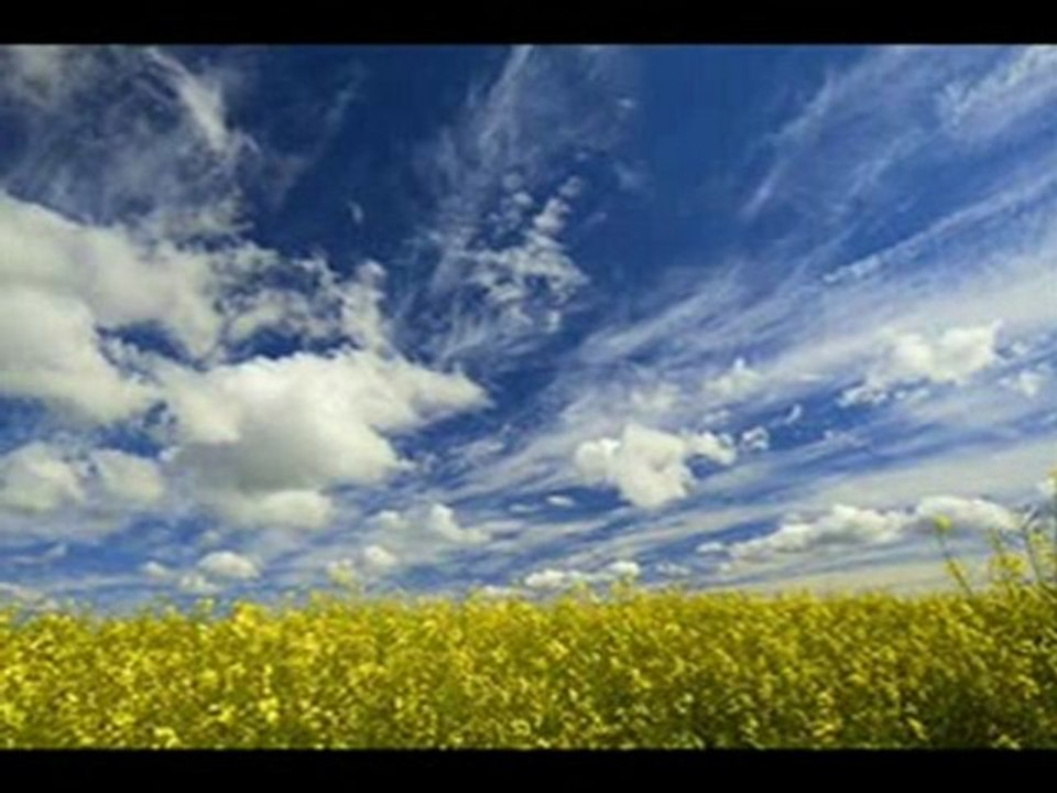 To Ty nauczyłaś mnie_mpeg1video_x264
