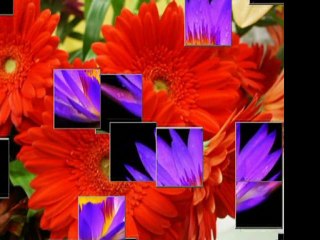 Abdullah-ı Dehlevi (r.a)-Duâ Etmek İbâdettir