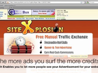 Get more traffic/views on your website AND earn money!!