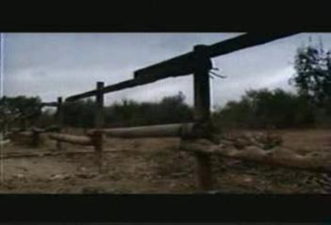 Nous c nous- Le cochon d'inde