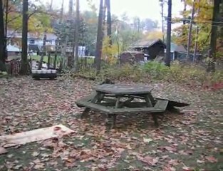 B.I.K.E - Picnic Table hop to Manual