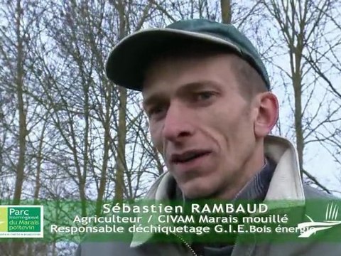 Un circuit court de bois plaquettes dans le Marais poitevin