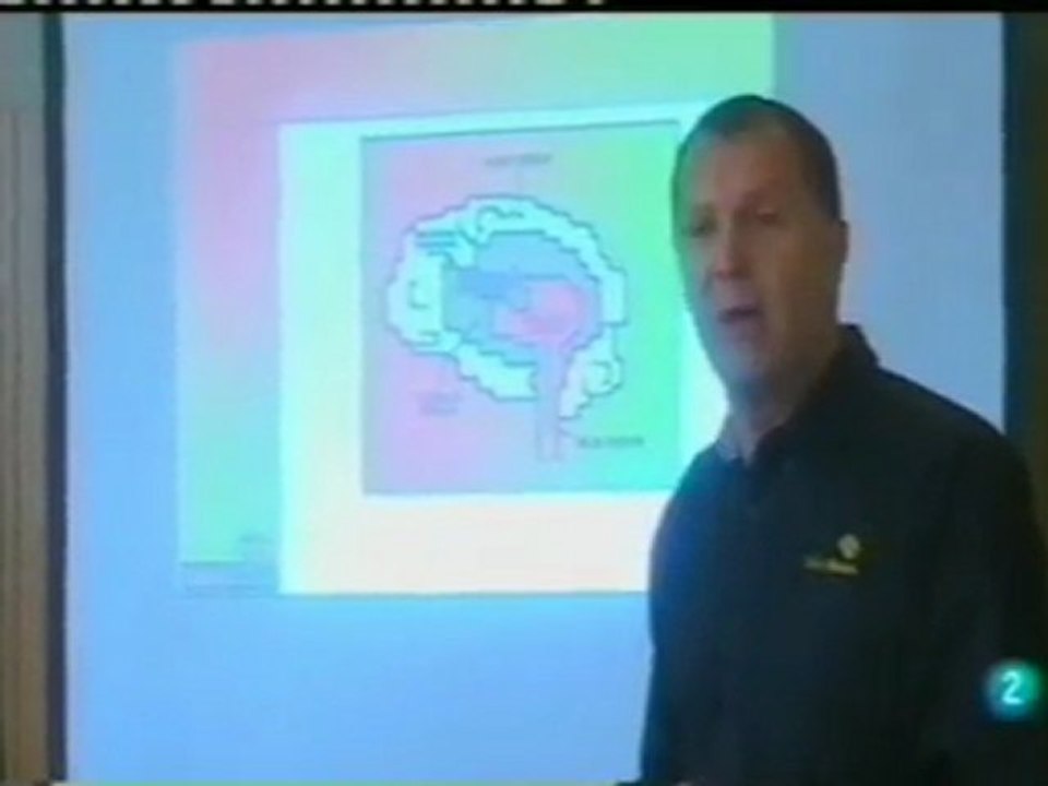 Neuromarketing y sistema limbico: El cerebro re...