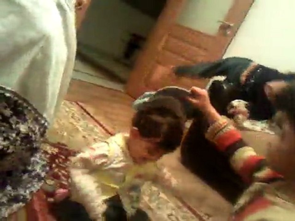 taha Video-0008
