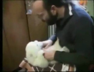 Orso Bianco stupendo e tenero VIDEO