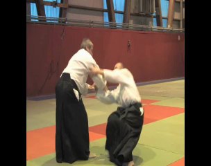 AIKIDO I.S.T.A AU CANADA, QUEBEC 2011 AVEC ALAIN PEYRACHE