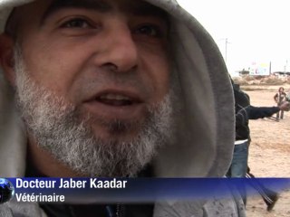 Israéliens et Palestiniens coopèrent pour soigner des ânes