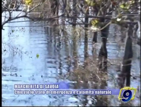 MARGHERITA DI SAVOIA | Chiesto lo stato di emergenza e calamità naturale