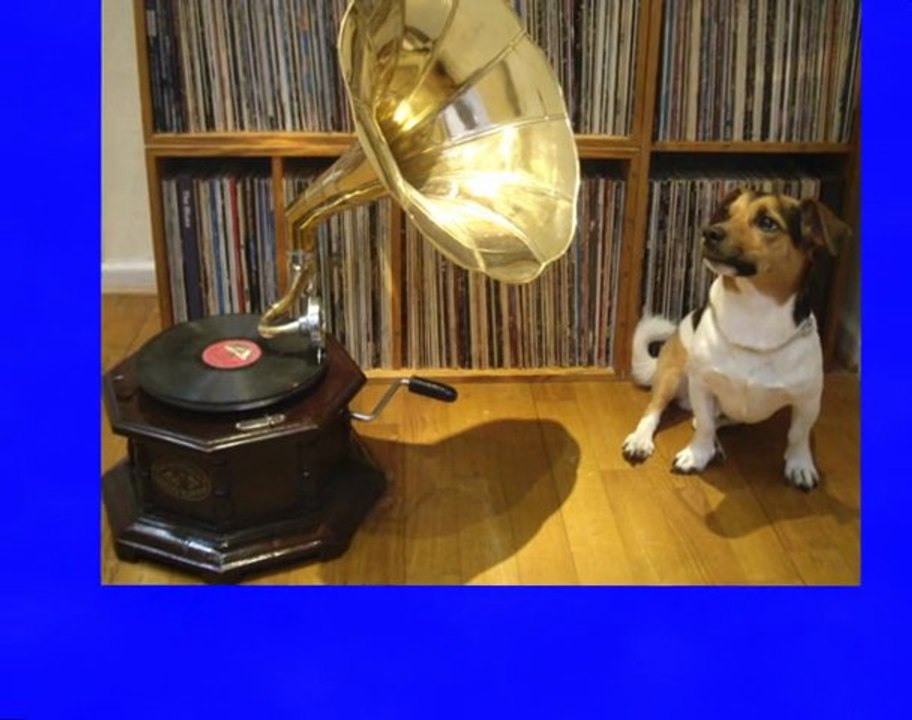 Dokö von pichelstein - pichelsteiner dorfkoeter song