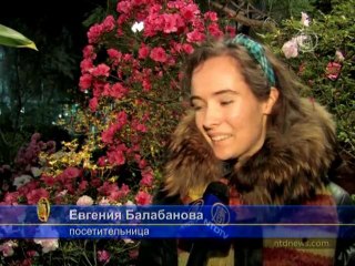 Прогуляться по особому маршруту в День влюбленных