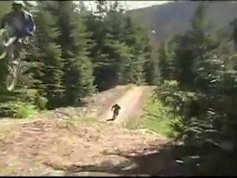 Road trip San Diego to Whistler 2007