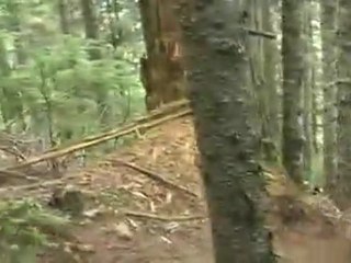 2007 Mike Metzger DirtBag Video