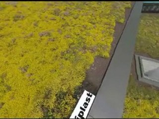 Toitures-terrasses végétalisées à 360°