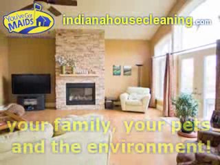 You've Got Maids - Crown Point, IN