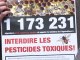 Abeilles: campagne contre les pesticides à Paris