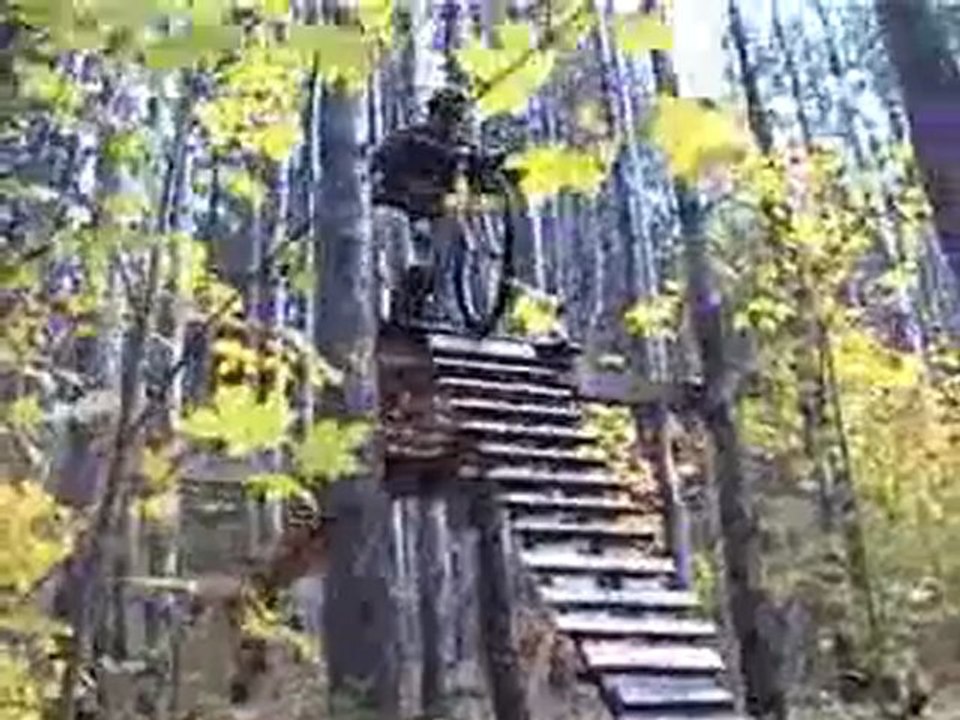 mountain bike crashes these guys ar knob heads!!!