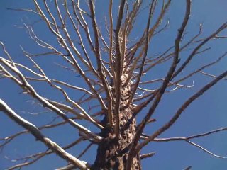 Tello (Lanjarón-Sierra Nevada)