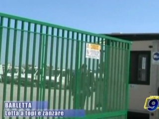 BARLETTA | Lotta a topi e zanzare