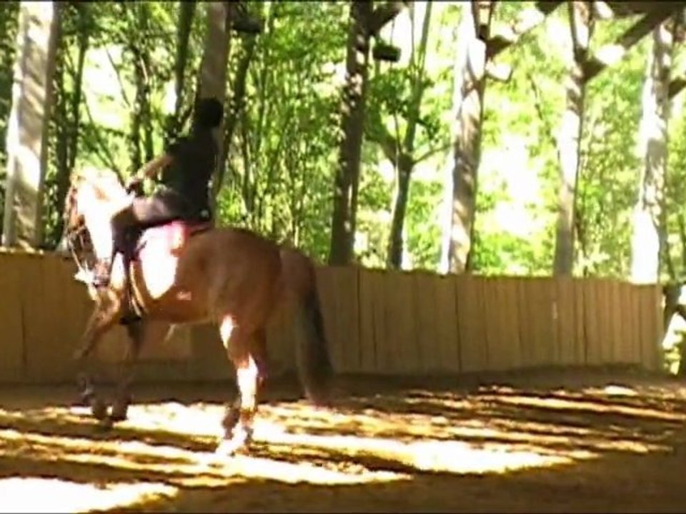 anim' dress Aurélie et OhSultan septembre 2010 galop 5