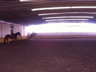 winnetou KWPN 8ans a vendre