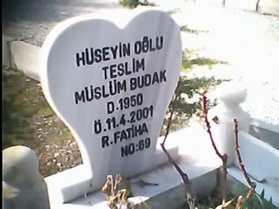 TESLİM BUDAK-KAYANIN DİBİNDE OY OY..